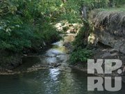 «Русский лес» пустили с молотка