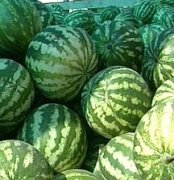 \"Арбузным\" развалам не место в городе