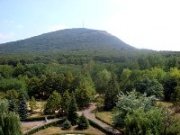 Территорию Всекавказского лагеря проверят энтомологи и кинологи