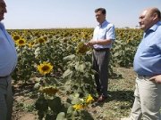 Жатва на Ставрополье практически завершена