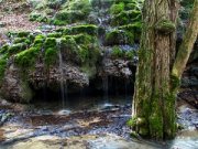 Походы отменяются?