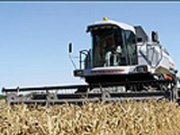 На Ставрополье прогнозируют гибель сельхозкультур и увеличение популяции вредителей сельхозугодий