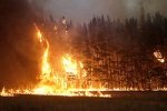 Пять стран помогают России бороться с огнем