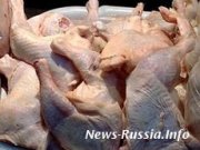 Куриная перезагрузка