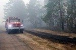 В Подмосковье потушены все лесные пожары