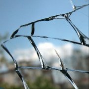 На общественную приемную «Единой России» напали хулиганы