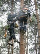 Ставропольские спасатели МЧС снова первые