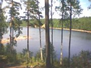 Земля в Ленинградской области выставлена на аукцион