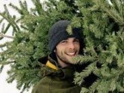 В Ставрополе началась торговля зелёными красавицами