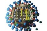 Иммунитет переболевших H1N1 оказался универсальным