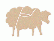 В крае создадут экспортную компанию, специализирующуюся на поставках баранины