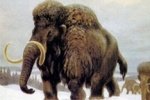 Японцы пообещали возродить мамонтов