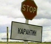 Круглый год на карантине