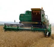 Руководство Министерства сельского хозяйства встретилось с фермерами края