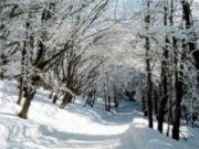 В крае ожидается усиление ветра