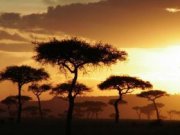 Кенийский туризм установил рекорд
