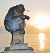 Одно из главных возражений против дарвиновской теории эволюции, похоже, снято