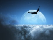 Ученым пришлось успокаивать людей из-за рекордного полнолуния, «грозящего катастрофами»