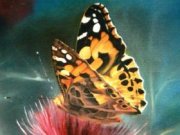 В международном конкурсе победил художник из Новороссийска