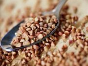 Гречка упадет в цене к 2012 году