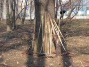 В Днепропетровской области прошли массовые субботники