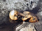 Проклятие «древнего альпиниста» существует?