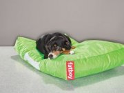 Комфорт для наших братьев меньших