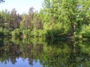 В госбюджете есть статья расходов на базу отдыха\"Пуща-Водица\"