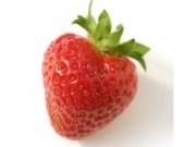 Музей эротики в Москве начал свою работу