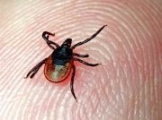 Посещение Тихой бухты Крыма теперь не бесплатно