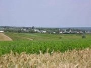 Александр Хлопонин предложил наделить казаков землями