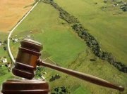 Земля воздаст сторицей