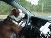 Специальный автомобильный руль для полных