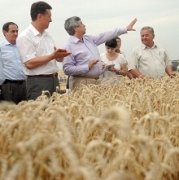 Жатва на Ставрополье вступила в решающую стадию