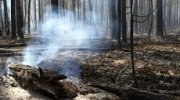 В крае сохраняется повышенная пожароопасность
