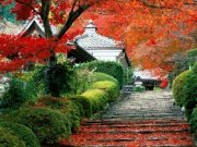 Япония опять привлекает туристов