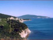 В Сочи выбирали кандидатов в Госдуму