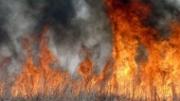 В восточной части края сохранится чрезвычайная пожароопасность