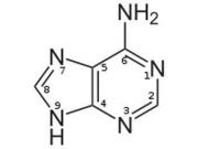 На метеоритах найдены «кирпичики жизни» внеземного происхождения