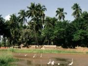 Рейтинг опасных стран мира