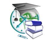 Проект дистанционного обучения стартует в Омске