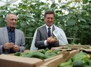 Губернатор посетил с рабочим визитом Изобильненский и Новоалександровский районы