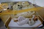 Пакистан ожидает одна из самых крупных эпидемий лихорадки Денге