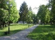 В Ставрополе обустроят аллею для слепых