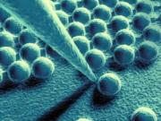 В Ленинградской области будет построен наноцентр