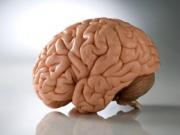 Наводнение Бангкока набирает обороты