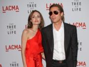 Брэд Питт и Анджелина Джоли снова станут родителями