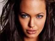 Анджелина Джоли и Брэд Питт попали под давление