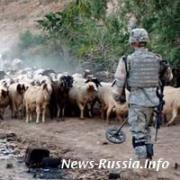 Американским военным разрешили зоофилию