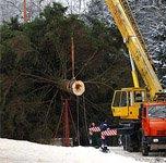 Главная елка страны будет установлена в понедельник